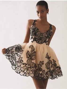 Maeve Sleeveless V-Neck Lace Fit & Flare Mini Dress ~ NWT